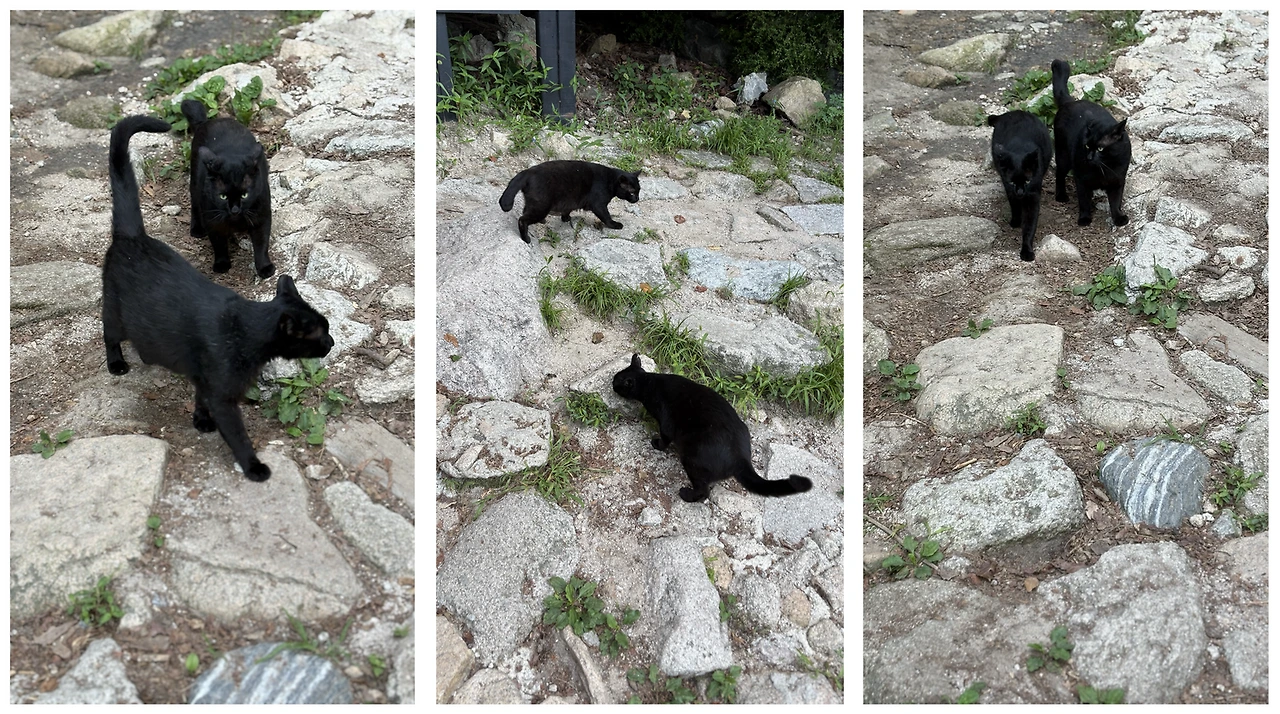 1753507563708?e=1758758400&v=beta&t=Fh_Zwkdc6ifddBasdDpOMyvbB3vjFdSUtGdFVvc97VE