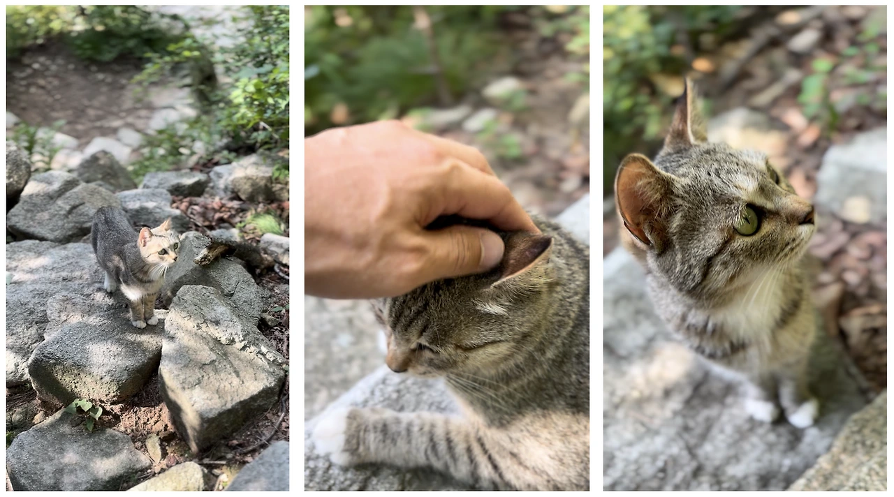 1753508082224?e=1758758400&v=beta&t=GLQXphSqcWC23hhEcJg-wgpCXUzlWUx_zLfbVxCkZbk