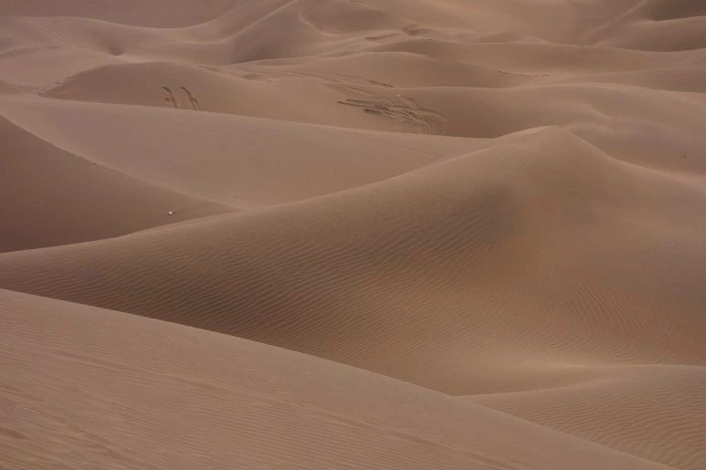 사막전경2_수정.jfif