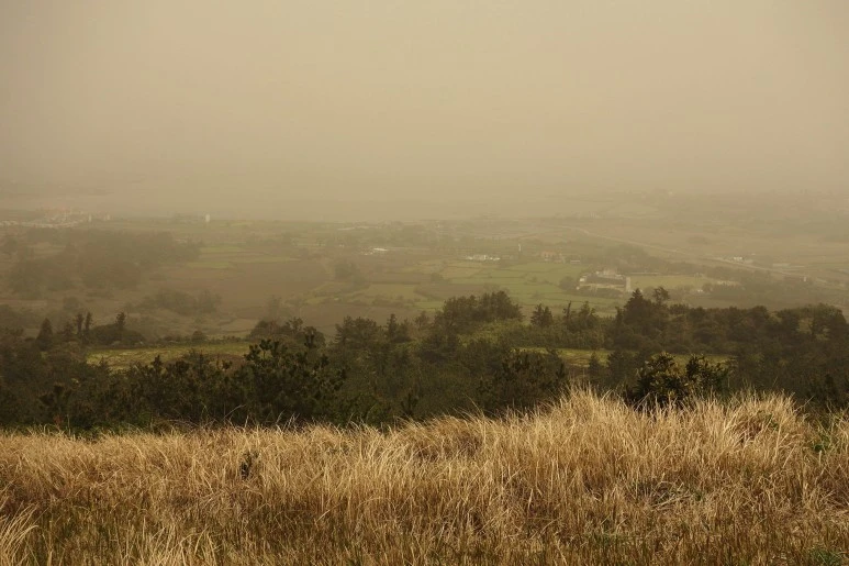 알오름전망.jfif