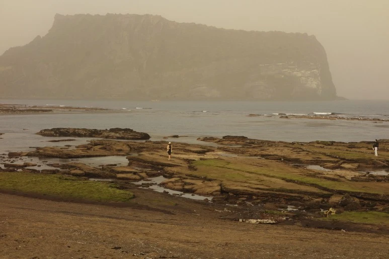 광치기해변.jfif