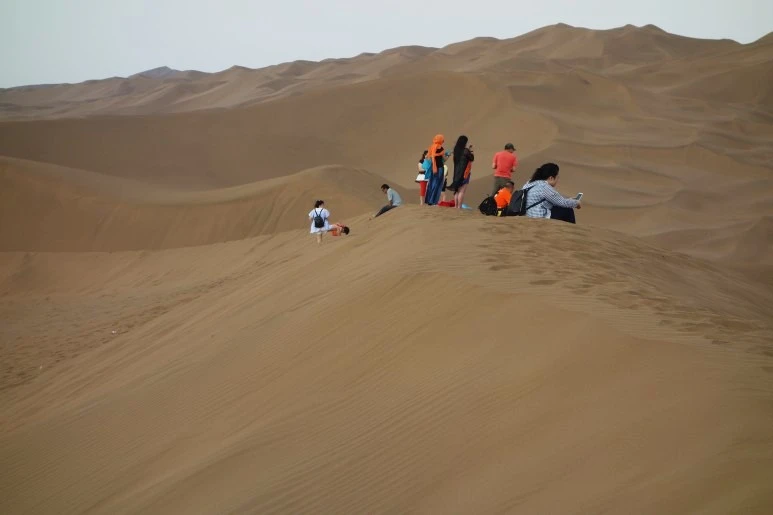 사막관광객2_수정.jfif