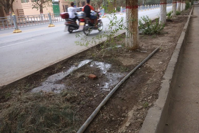 가로수_인공물1_수정.jfif