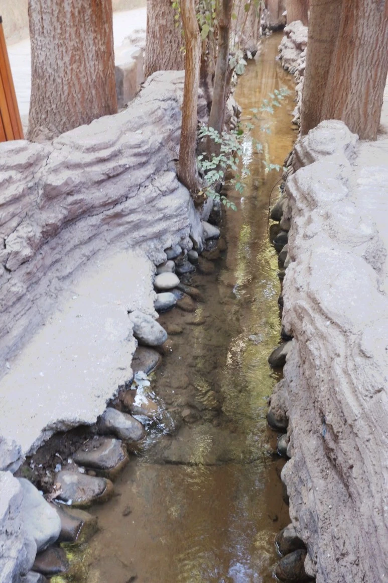 카레즈_수로_나무_수정.jfif