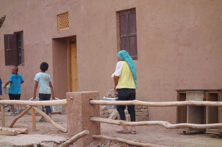 포도_현지인_수정.jfif