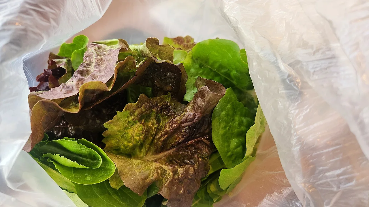 %EC%83%81%EC%B6%942.jpg?type=w1600