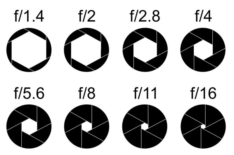 image_6560786281525669822743.jpg?type=w800