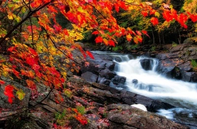 4_ce6Ud018svc1xt33zet07qtf_149gk0.jpg?type=e1920_std