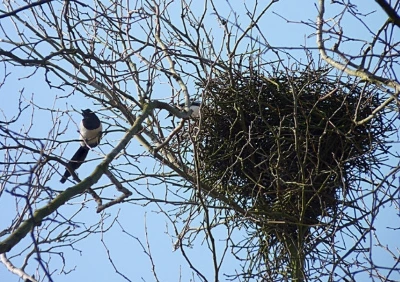 g_je7Ud018svc11tyn151rc0ty_149gk0.jpg?type=e1920_std