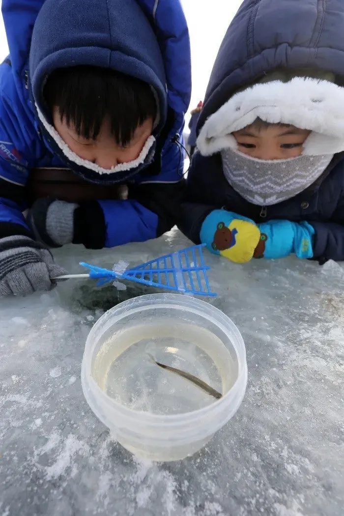 2_15iUd018svcjufr9hjaxo2e_149gk0.jpg?type=e1920_std