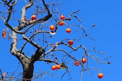 e_cf5Ud018svc1l8ajwedb79ga_149gk0.png?type=e1920_std