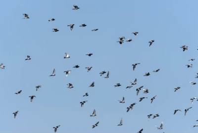 c_8beUd018svcb6p99c7byz4z_149gk0.png?type=e1920_std