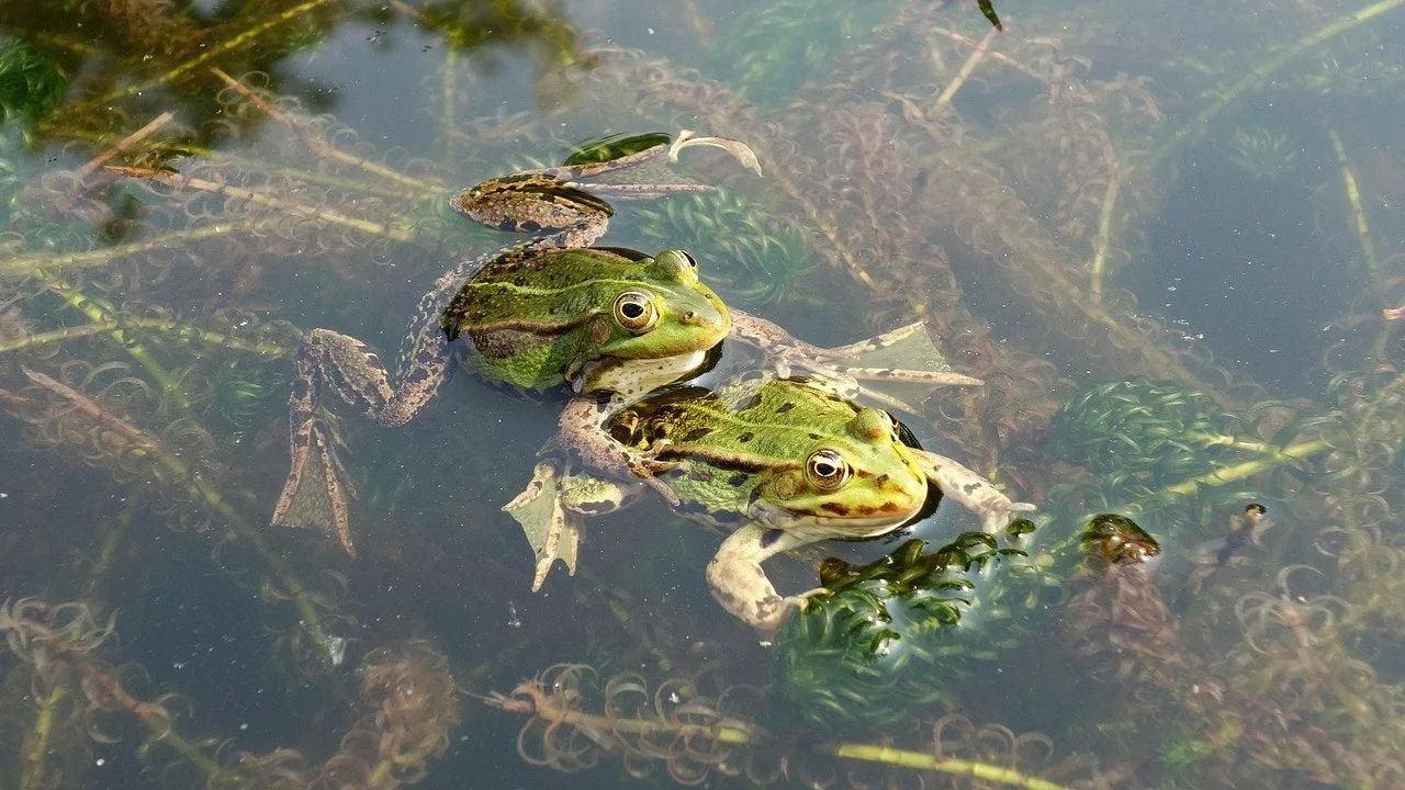 c_5jgUd018svcz0txrt582np1_149gk0.jpg?type=e1920_std