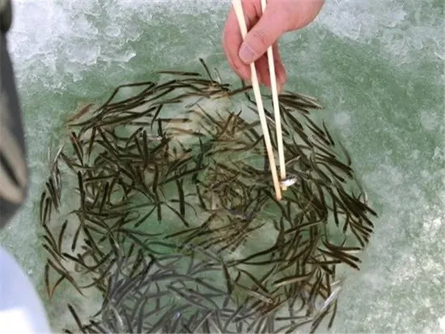 2_35iUd018svc6mu96ih7vgf9_149gk0.jpg?type=e1920_std