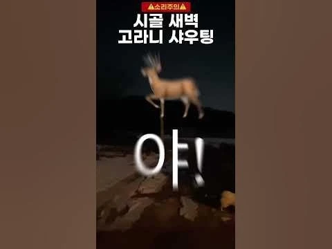 i_2baUd018svc1rbja4c775roo_afahg6.jpg?type=e1280_std