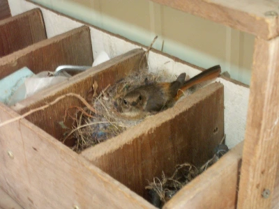 3_728Ud018svc1hfvucbd2paou_149gk0.jpg?type=e1920_std