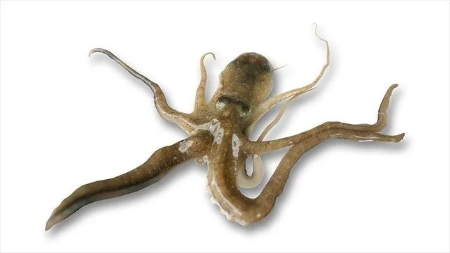 2_45iUd018svc1fyttrma5oqo9_149gk0.jpg?type=e1920_std