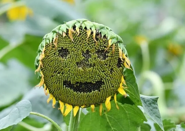 d_h0bUd018svcy3ayutqrvzej_149gk0.png?type=e1920_std