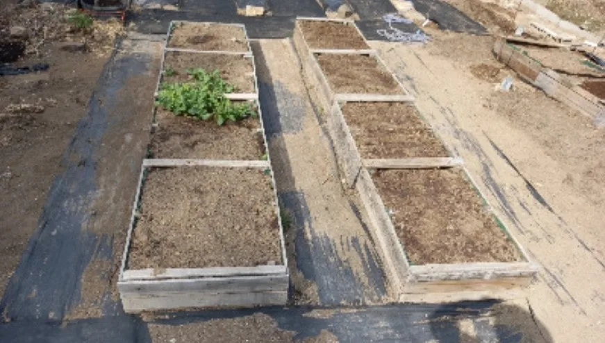 7_if7Ud018svc1mrtlcalomo5p_149gk0.png?type=e1920_std