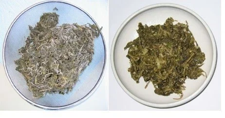 b_842Ud018svcacso1li3yrx2_149gk0.jpg?type=e1920_std