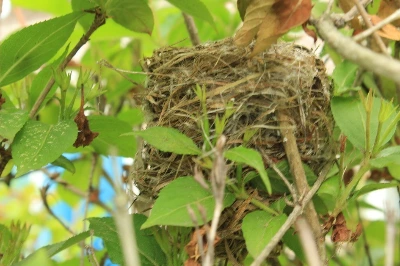 3_828Ud018svc135g6exwi6x02_149gk0.png?type=e1920_std