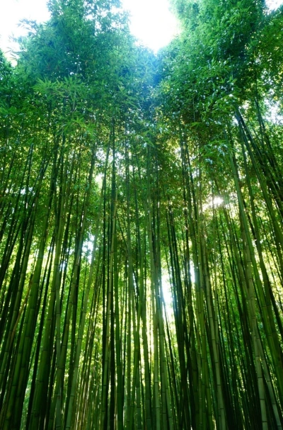 5_fd3Ud018svc1w4ac061nnkw3_149gk0.jpg?type=e1920_std