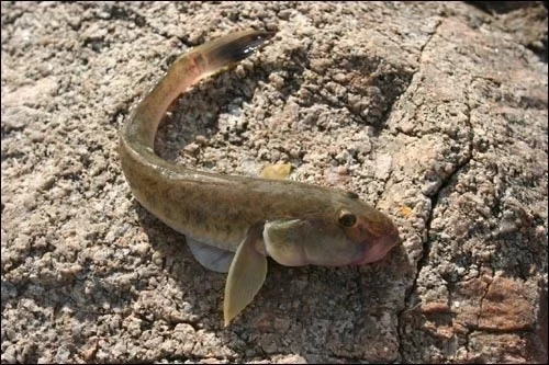 2_05iUd018svcjlxzvvc67uf5_149gk0.jpg?type=e1920_std