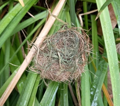 f_0c2Ud018svcj8jvpu5ztfo0_149gk0.jpg?type=e1920_std