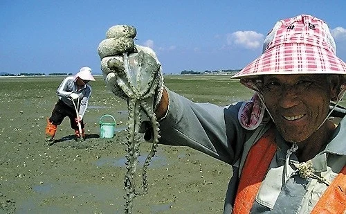 2_85iUd018svci00ir7qokpz0_149gk0.jpg?type=e1920_std