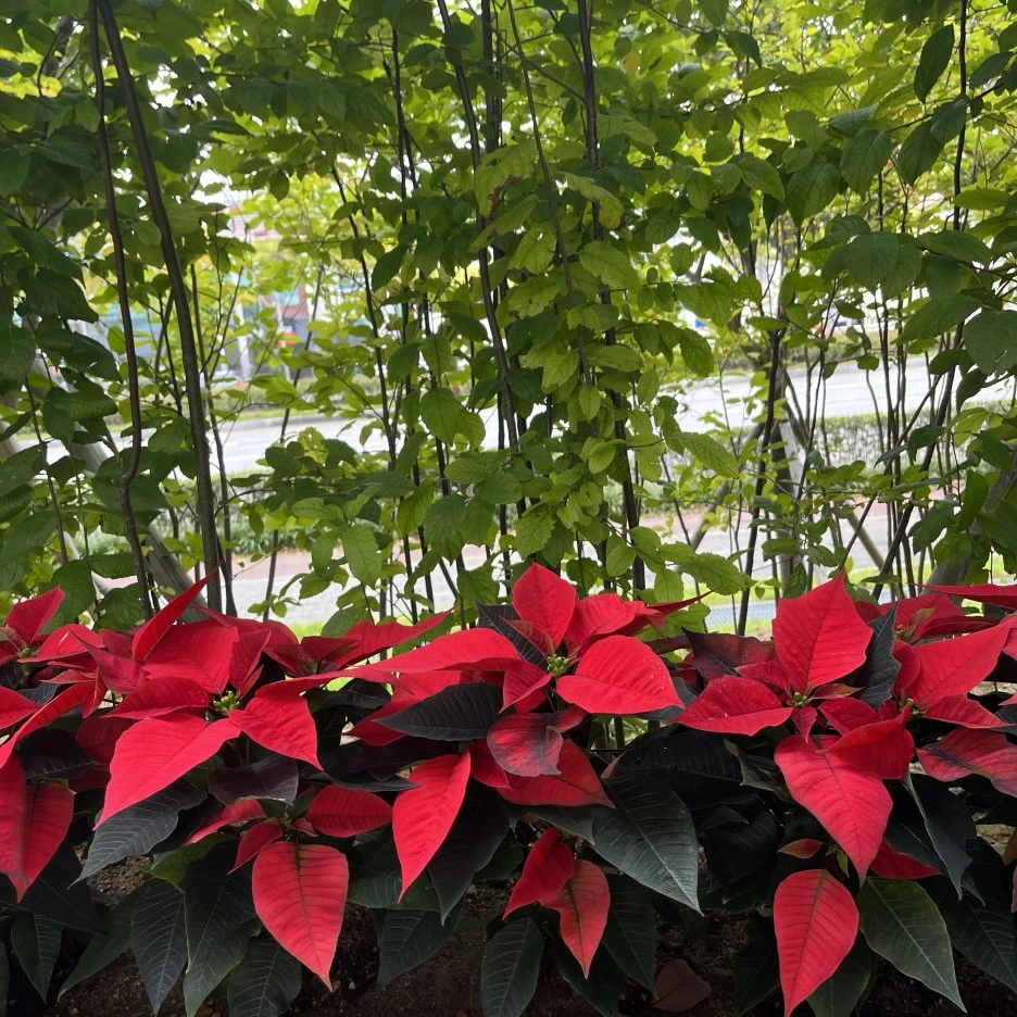 B3D18A27-D68C-441B-B04F-5B2AA4C1D686.jpeg?type=w1