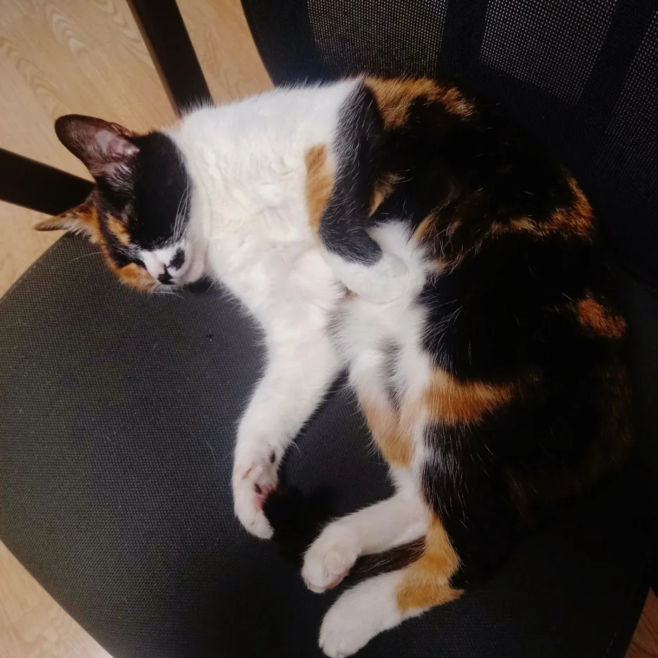 SE-d80bade3-c6af-493b-b6c9-1877e544ca7a.jpg?type=w1