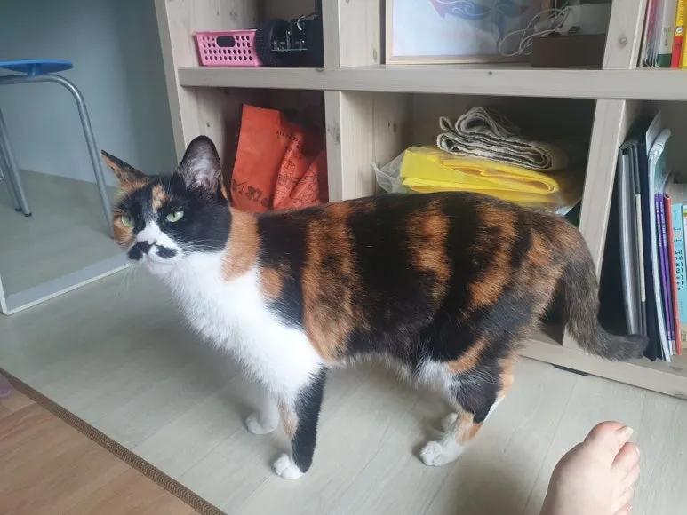 KakaoTalk_20250524_114436865.jpg?type=w773