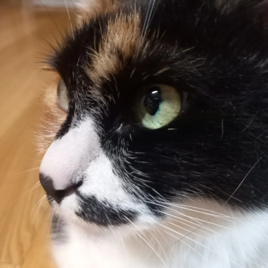 KakaoTalk_20250530_211513163_01.jpg?type=w1