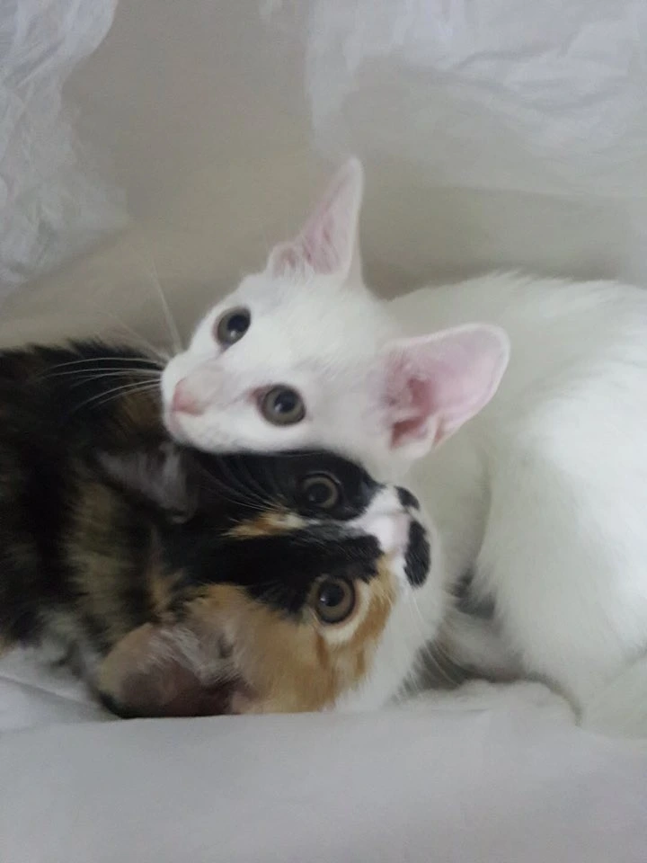 KakaoTalk_20250605_173340287_01.jpg?type=w1