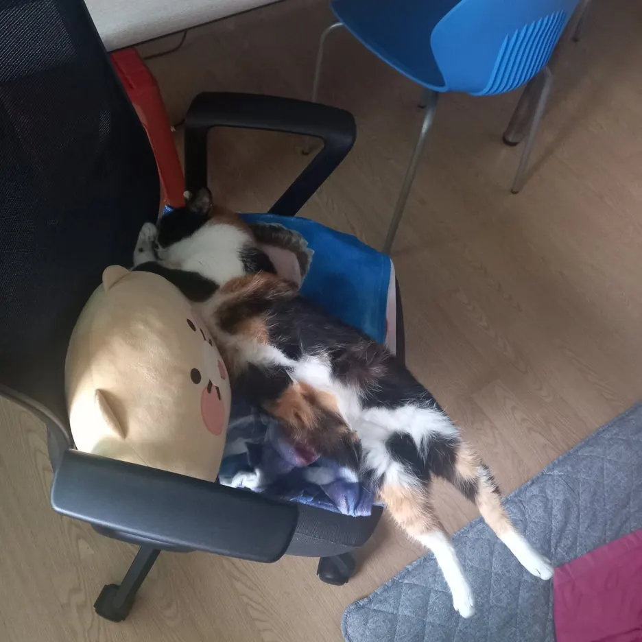 KakaoTalk_20250603_233645697_01.jpg?type=w1