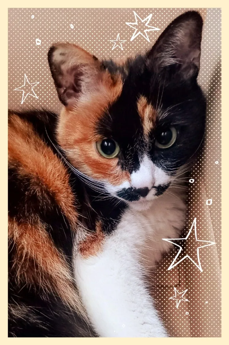 KakaoTalk_20250517_120525121_01.jpg?type=w773