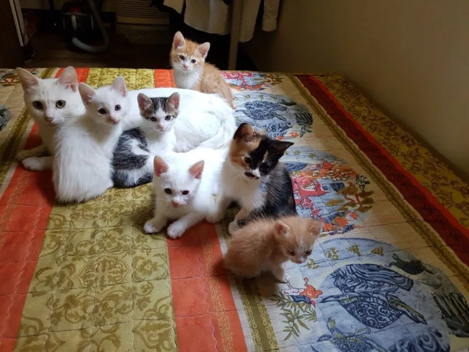 KakaoTalk_20250605_173340287.jpg?type=w1