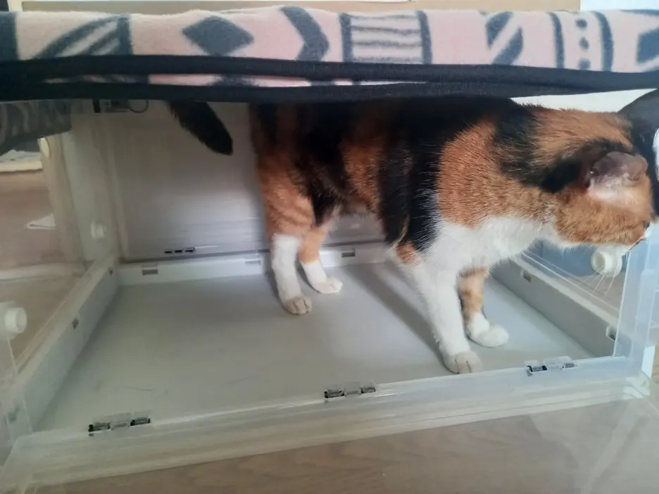 KakaoTalk_20250617_160956899_01.jpg?type=w1