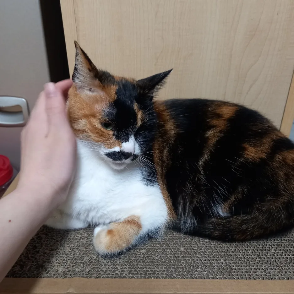 KakaoTalk_20250605_165613423_01.jpg?type=w1