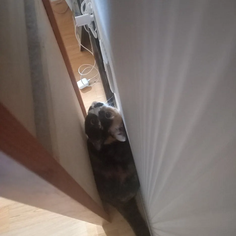 KakaoTalk_20250528_225916653.jpg?type=w1