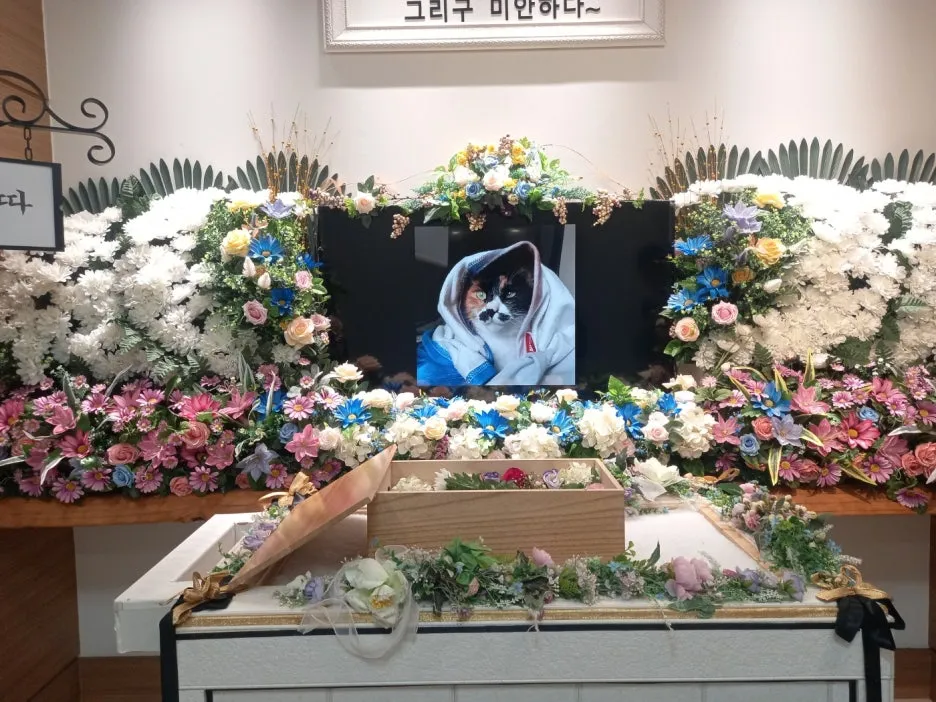 KakaoTalk_20250805_141620866_09.jpg?type=w1