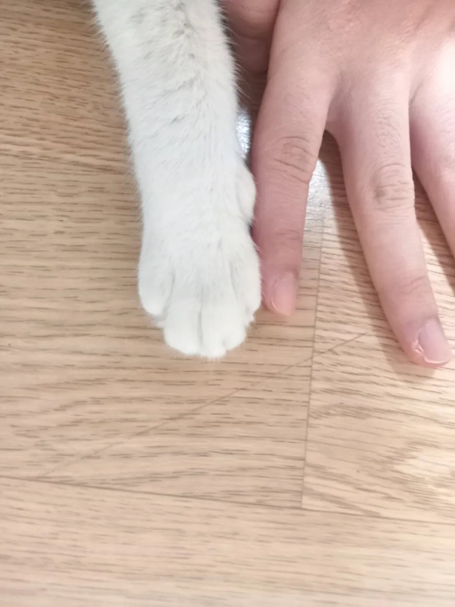 KakaoTalk_20250528_225916653_04.jpg?type=w1