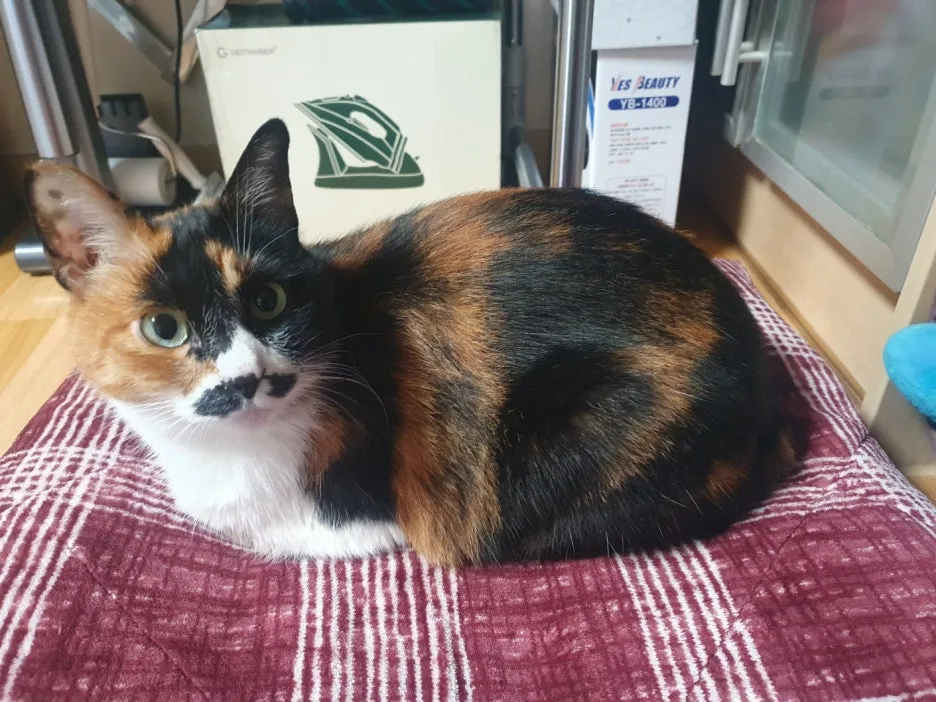 KakaoTalk_20250617_160956899_02.jpg?type=w1