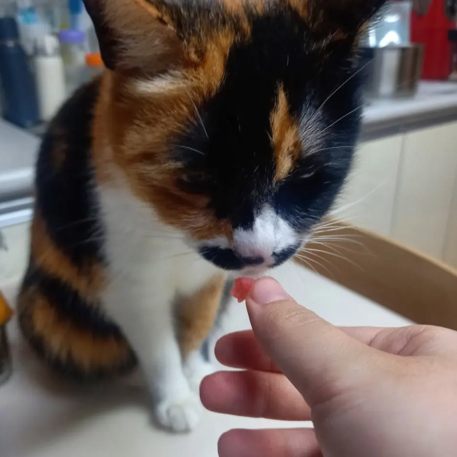 KakaoTalk_20250626_145637427_03.jpg?type=w1