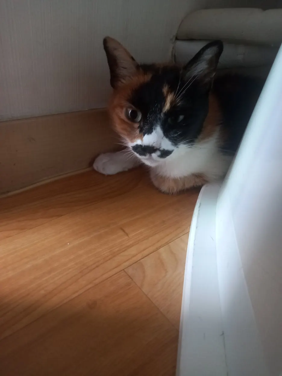 KakaoTalk_20250729_150259731.jpg?type=w1