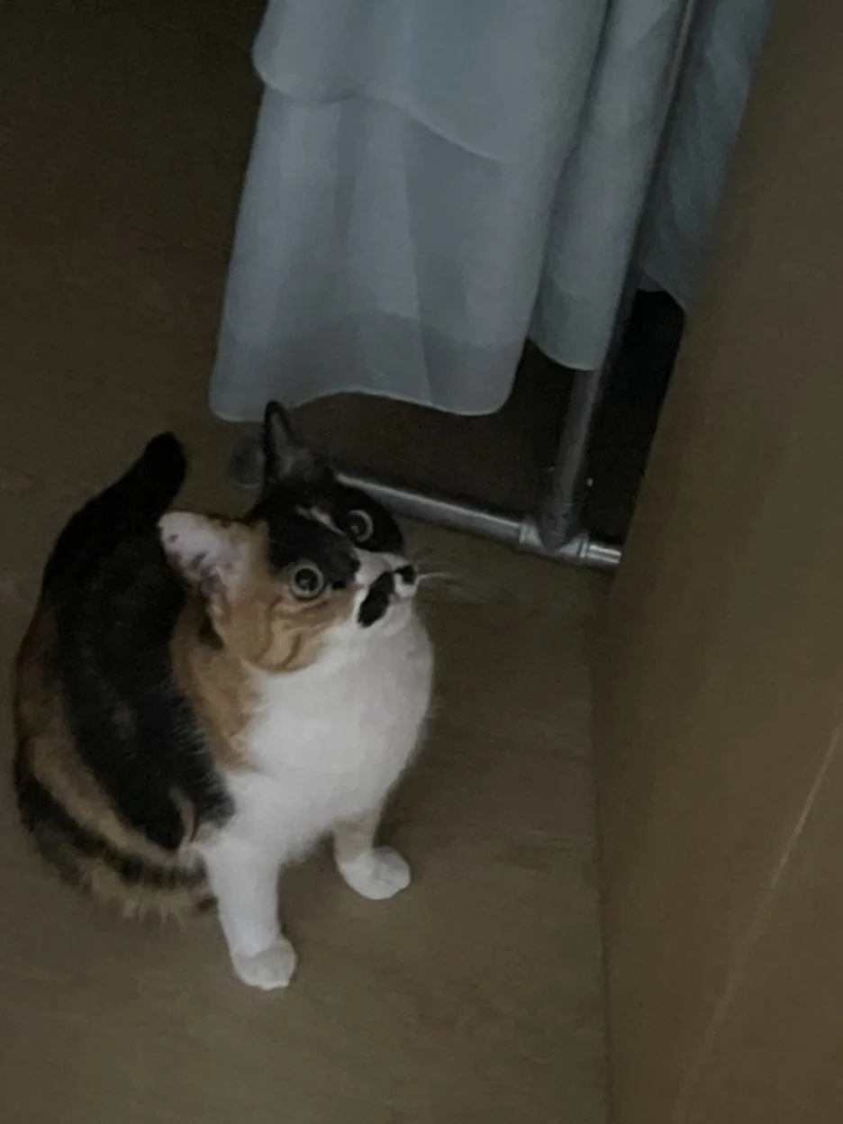 KakaoTalk_20250528_225916653_02.jpg?type=w1