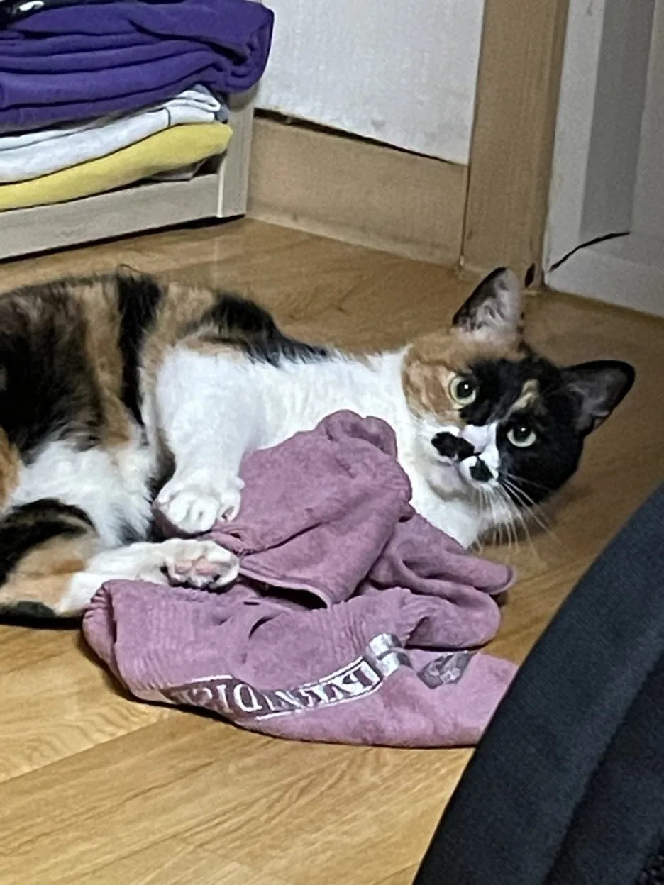 KakaoTalk_20250626_145637427.jpg?type=w1