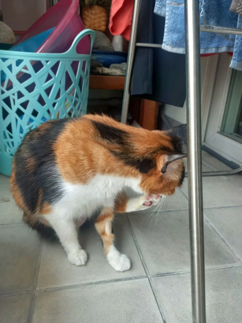 KakaoTalk_20250529_222646057.jpg?type=w1