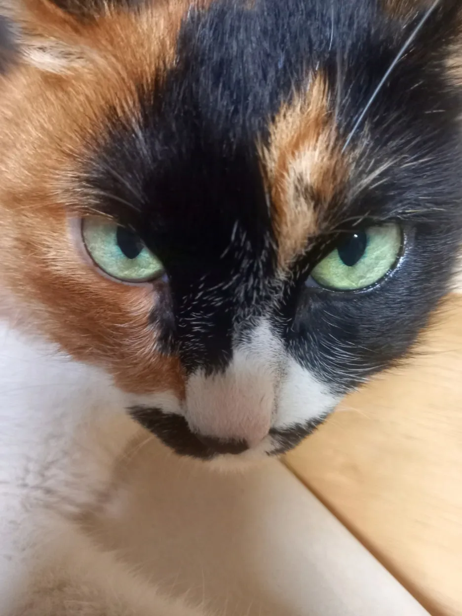 KakaoTalk_20250603_233645697.jpg?type=w1