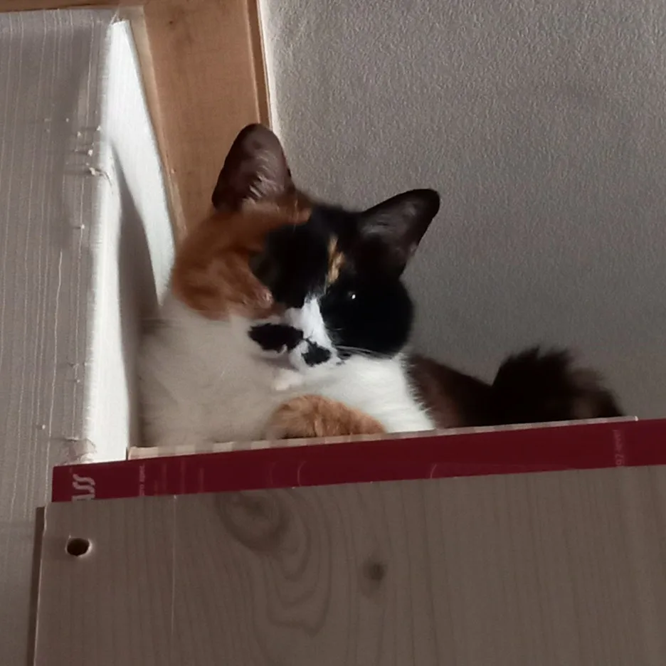 KakaoTalk_20250605_165613423_02.jpg?type=w1